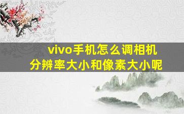 vivo手机怎么调相机分辨率大小和像素大小呢