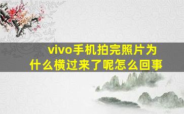 vivo手机拍完照片为什么横过来了呢怎么回事