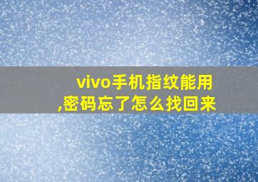 vivo手机指纹能用,密码忘了怎么找回来