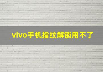 vivo手机指纹解锁用不了