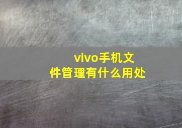 vivo手机文件管理有什么用处