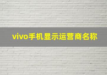 vivo手机显示运营商名称