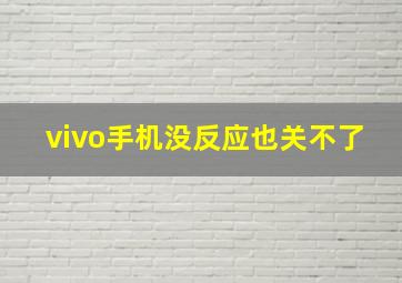 vivo手机没反应也关不了