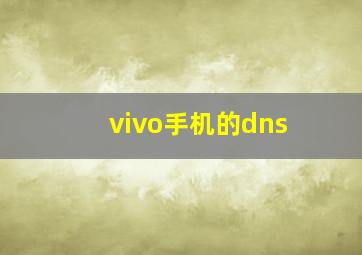 vivo手机的dns