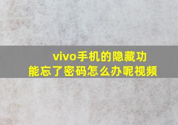 vivo手机的隐藏功能忘了密码怎么办呢视频