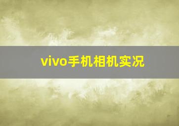 vivo手机相机实况