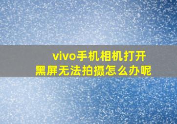 vivo手机相机打开黑屏无法拍摄怎么办呢