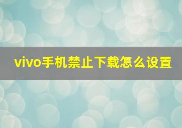 vivo手机禁止下载怎么设置