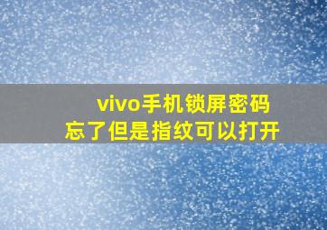 vivo手机锁屏密码忘了但是指纹可以打开