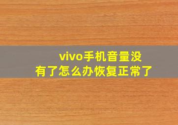 vivo手机音量没有了怎么办恢复正常了