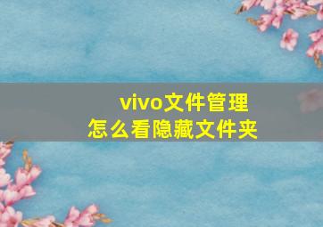 vivo文件管理怎么看隐藏文件夹