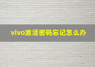 vivo激活密码忘记怎么办