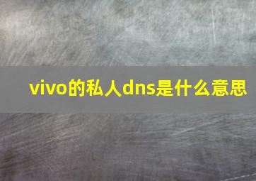 vivo的私人dns是什么意思