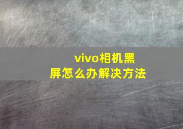 vivo相机黑屏怎么办解决方法