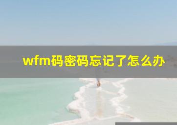 wfm码密码忘记了怎么办