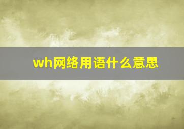 wh网络用语什么意思