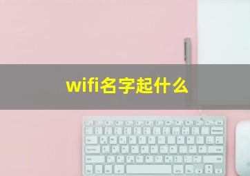 wifi名字起什么