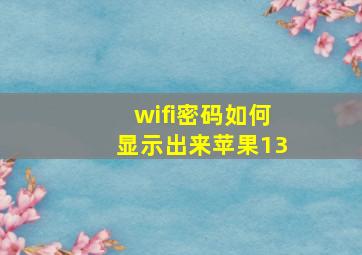 wifi密码如何显示出来苹果13