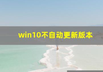 win10不自动更新版本