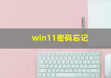 win11密码忘记