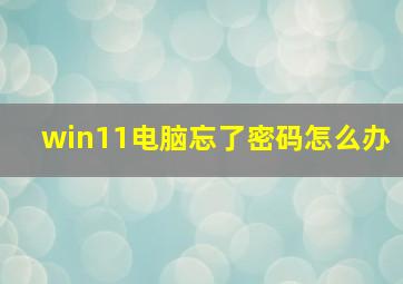 win11电脑忘了密码怎么办