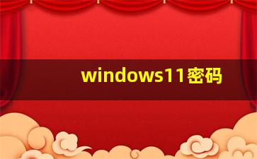 windows11密码