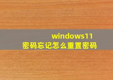 windows11密码忘记怎么重置密码