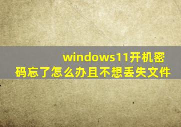 windows11开机密码忘了怎么办且不想丢失文件