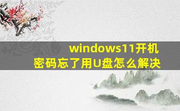 windows11开机密码忘了用U盘怎么解决