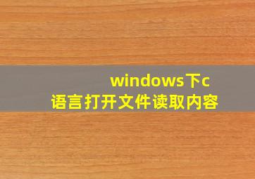 windows下c语言打开文件读取内容