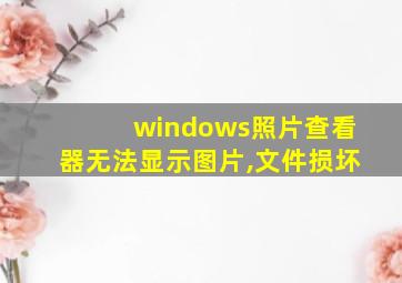 windows照片查看器无法显示图片,文件损坏