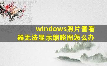 windows照片查看器无法显示缩略图怎么办