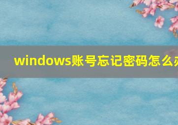 windows账号忘记密码怎么办