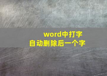 word中打字自动删除后一个字