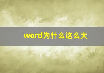 word为什么这么大