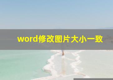 word修改图片大小一致