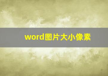 word图片大小像素