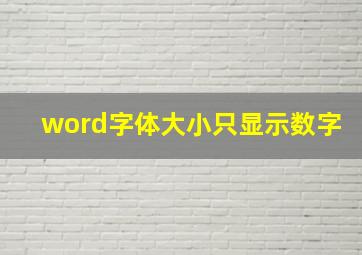 word字体大小只显示数字