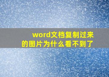 word文档复制过来的图片为什么看不到了