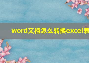 word文档怎么转换excel表