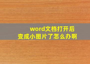 word文档打开后变成小图片了怎么办啊