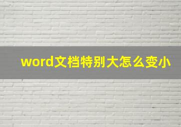 word文档特别大怎么变小