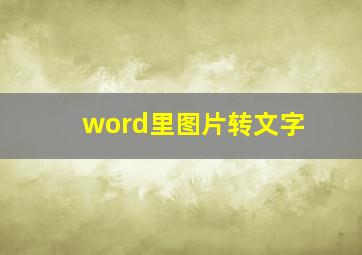 word里图片转文字