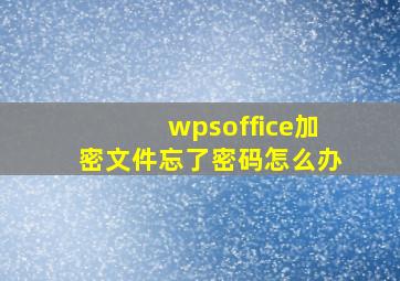 wpsoffice加密文件忘了密码怎么办