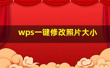 wps一键修改照片大小