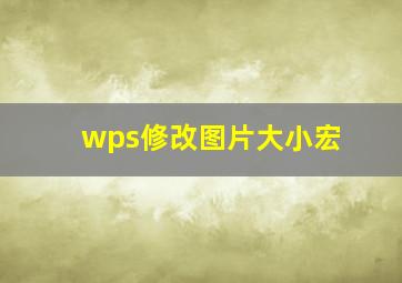 wps修改图片大小宏