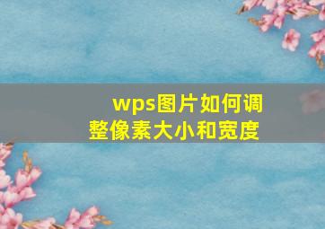 wps图片如何调整像素大小和宽度