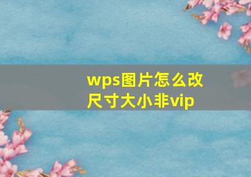 wps图片怎么改尺寸大小非vip