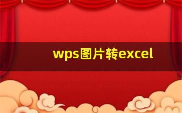 wps图片转excel