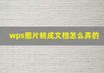 wps图片转成文档怎么弄的